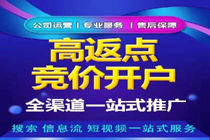 SEM托管服务，成功案例深度分析